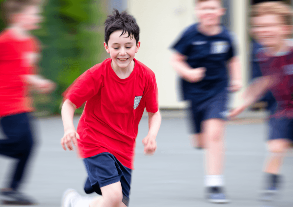 Cover image for Market Pulse: Hamburg's €5.6M School Sports Tender Reveals Intense European Competition