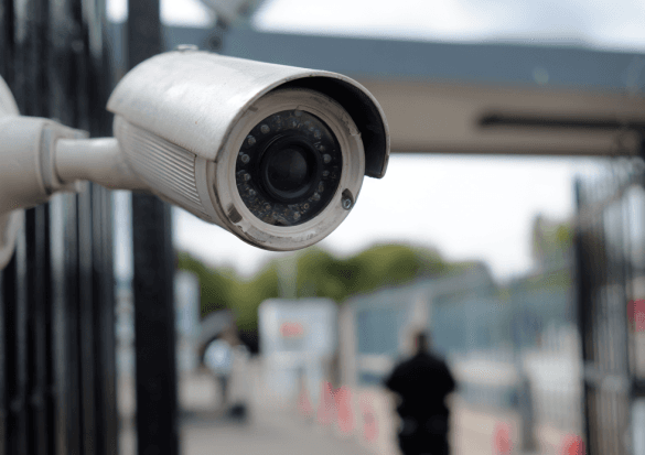Cover image for Market Pulse: Netherlands to Overhaul Justice System with €175M Offender Management Platform