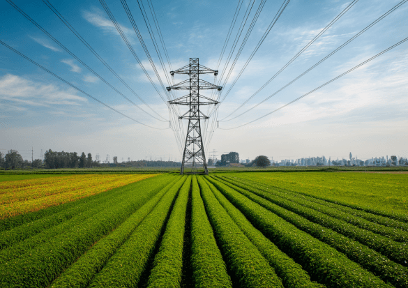 Cover image for Market Pulse: France's €390M Energy Concession Sparks a Battle of Titans in Toulouse